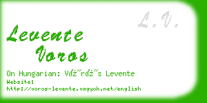 levente voros business card